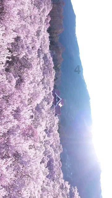 三色变形小怪