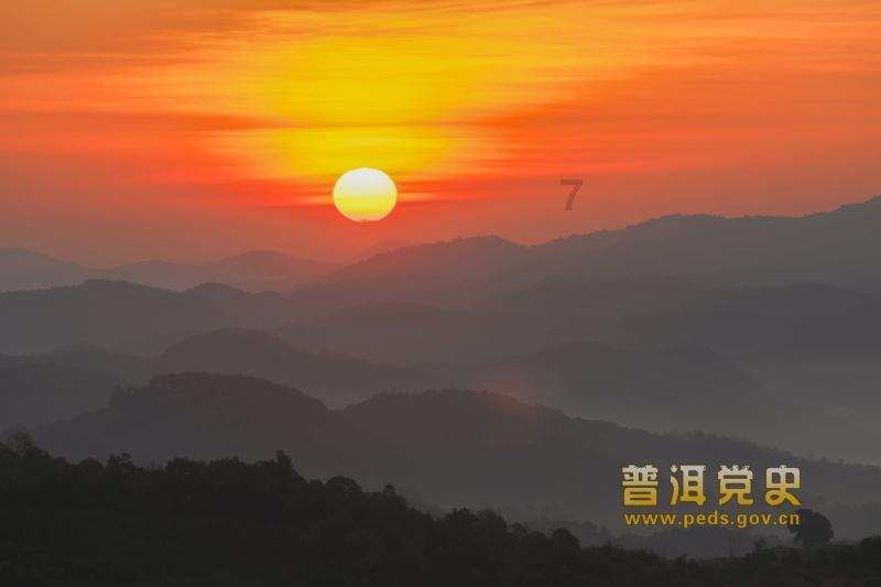 细胞分裂6