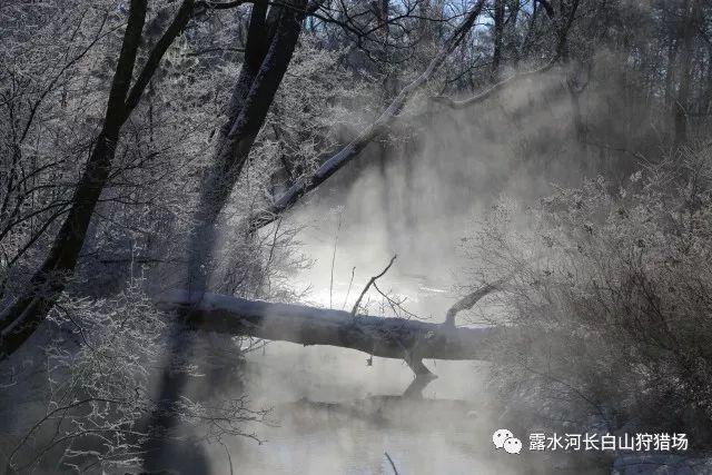 神舞幻想