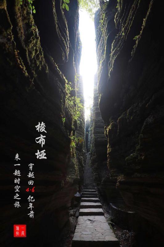 虫虫助手下载