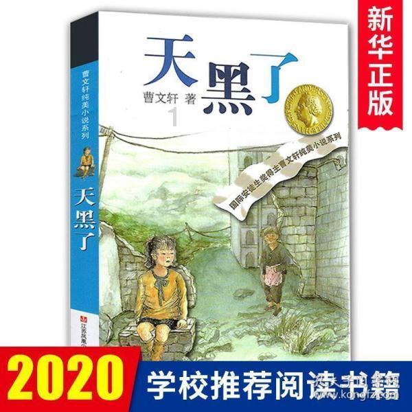 蝙蝠侠：阿甘骑士
