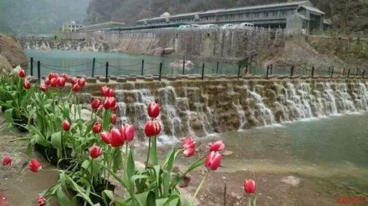 暗黑地牢
