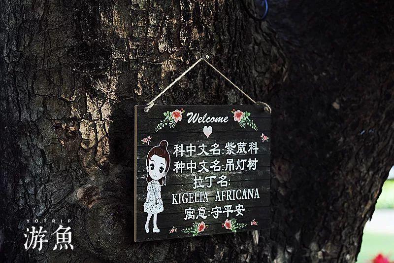 老去的冯小刚,「爹」不过陈思诚