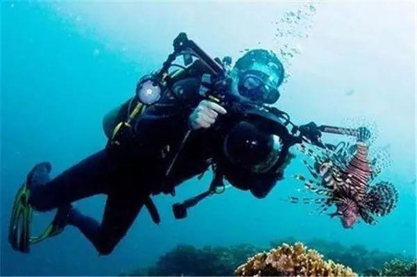 海口新海港增开新能源小车出岛专班