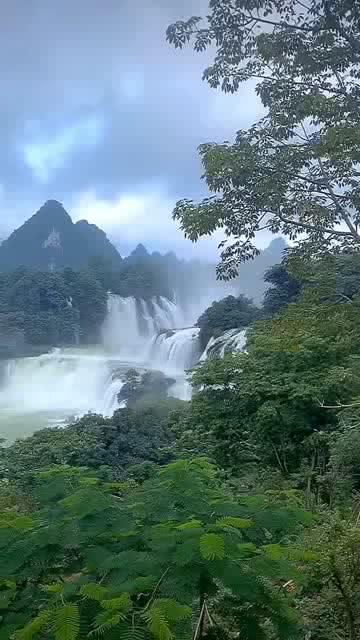 小猫钓鱼开船版最新版下载