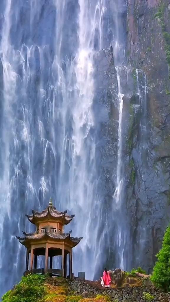 动物帮帮忙保卫家园