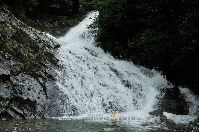 沪江开心词场