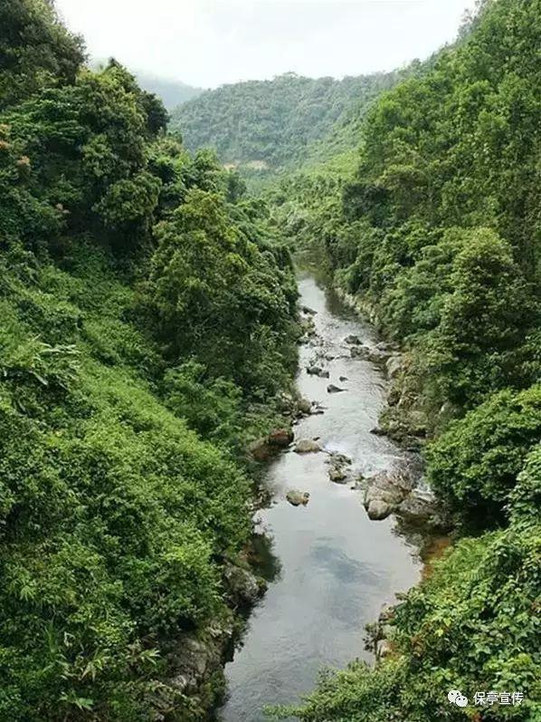 河北孟村:理论宣讲进校园 爱国教育育新人