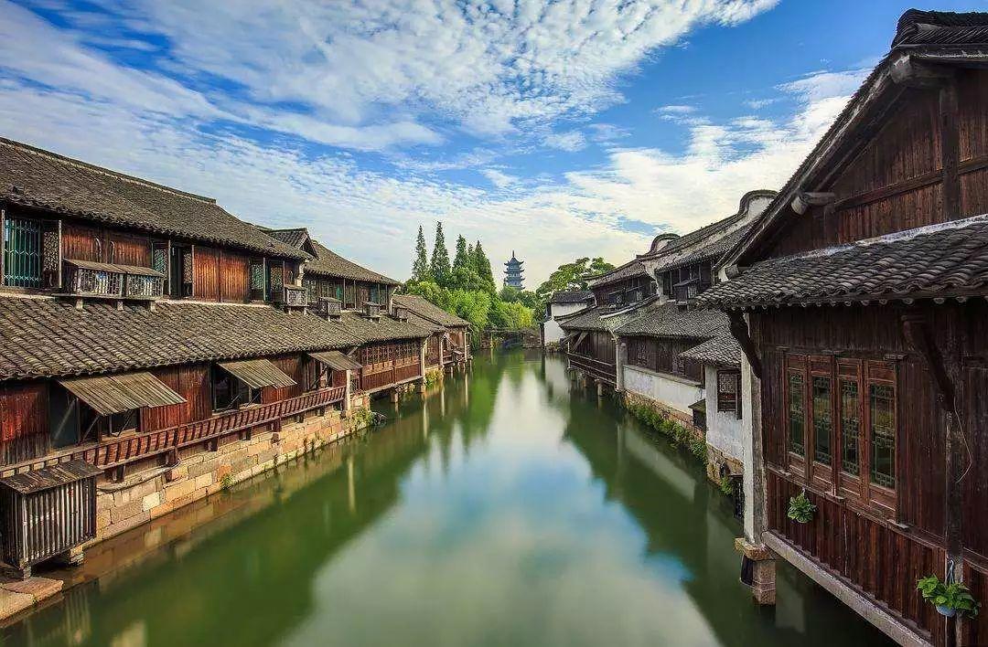动物帮帮忙保卫家园