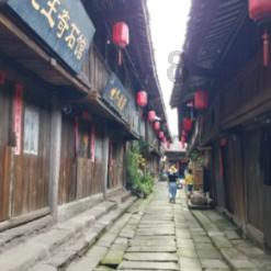 穿越遗弃的森林