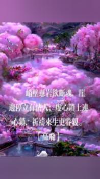 奥迪A7借给朋友，第二天被告知车被撞报废了？男子：驾驶人打电话不接 发微信不回